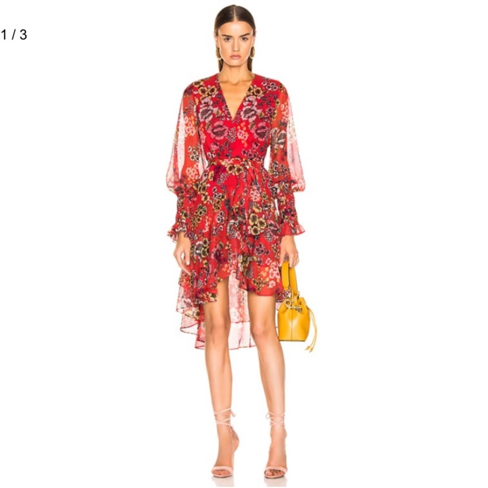 Alexis Sidony Dress